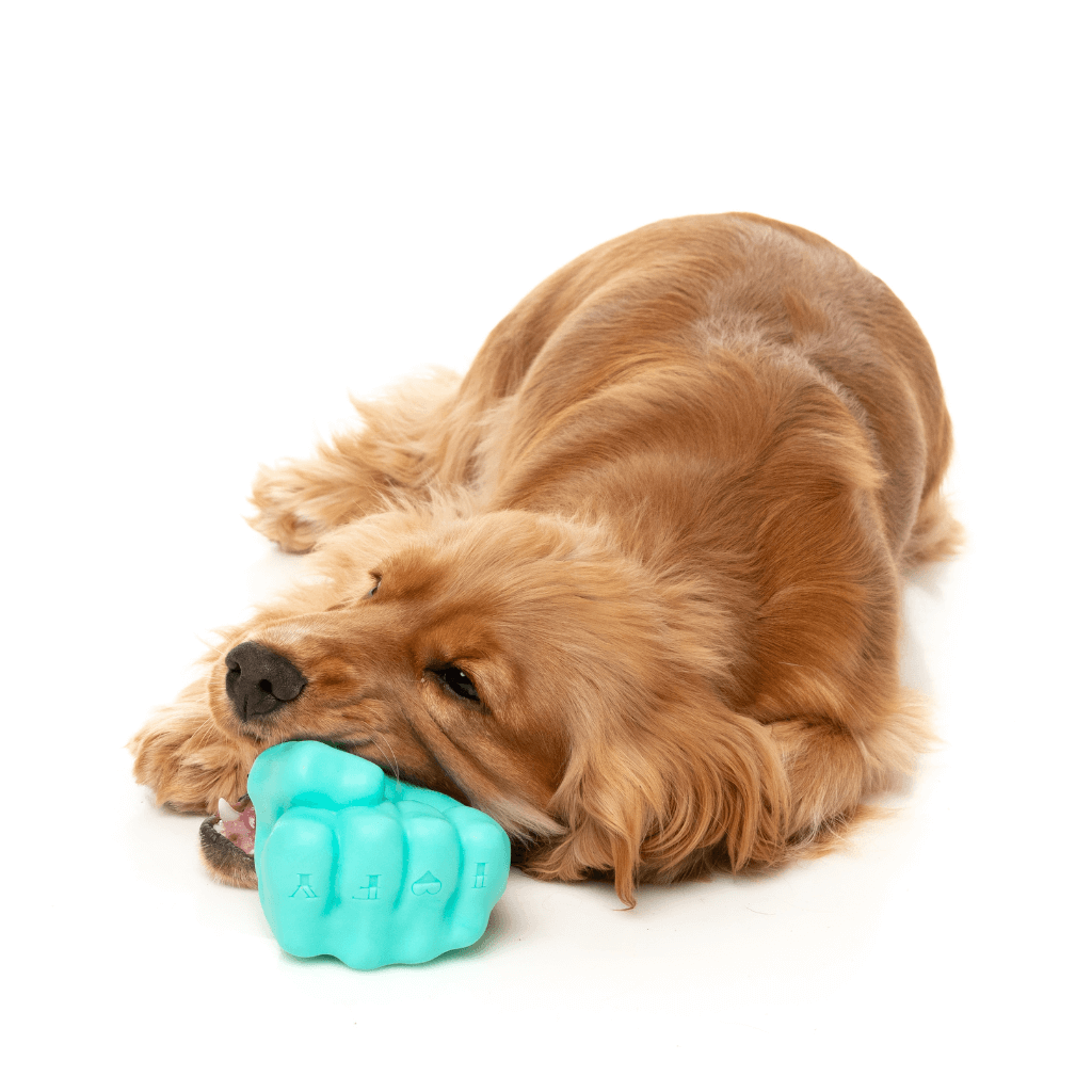 Knuckle Sandwich Jouet interactif pour chien – FuzzYard Europe