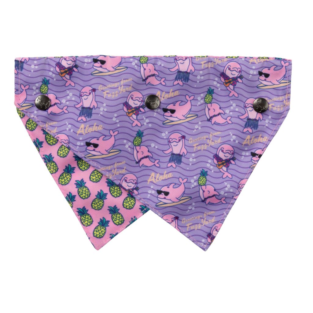 Aloha Dauphins - Bandana