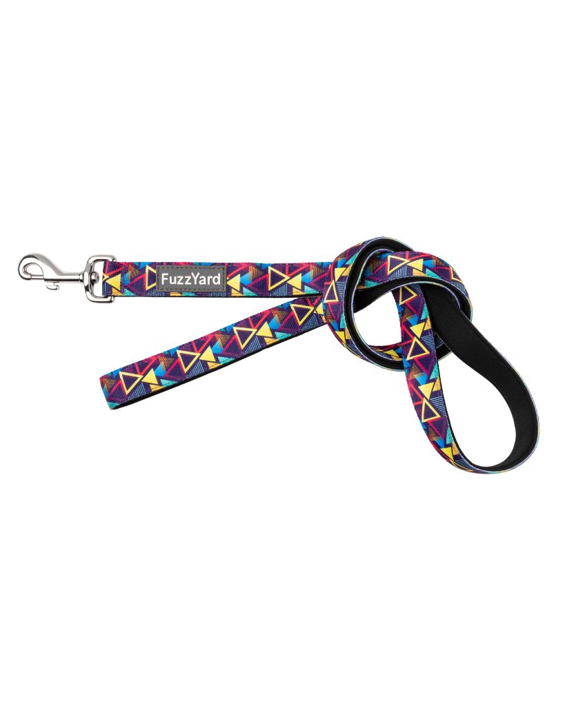 Prism - Laisse pour chien