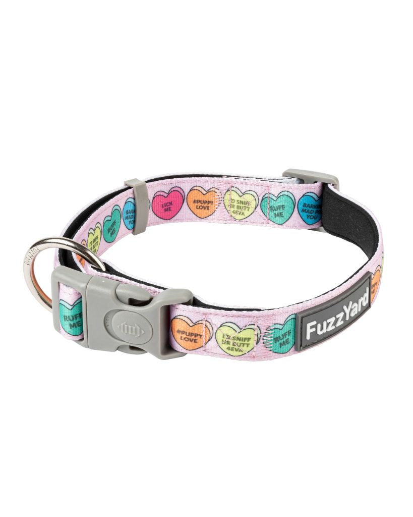Candy Hearts - Collier pour chien