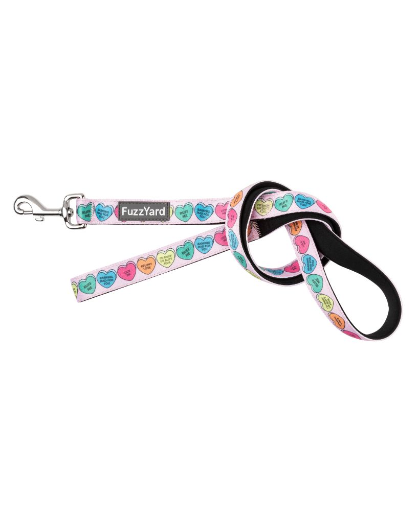 Candy Hearts - Laisse pour chien