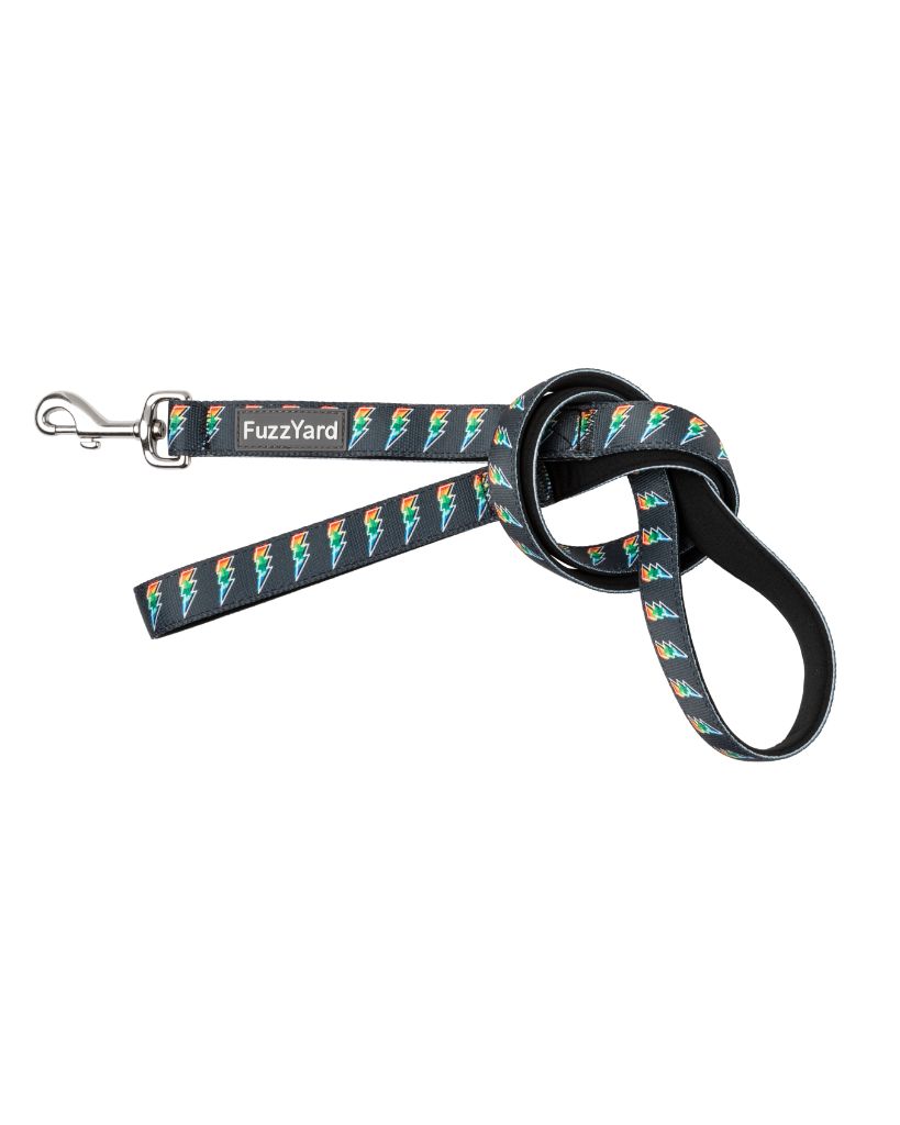 Volt! - Laisse pour chien