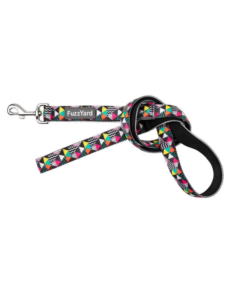 No Signal ! - Laisse pour chien