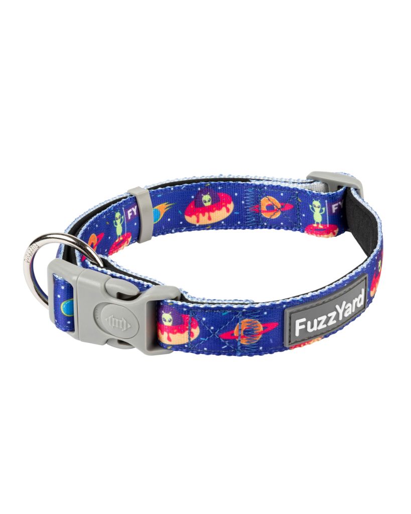 Extradonutstrial - Collier pour chien