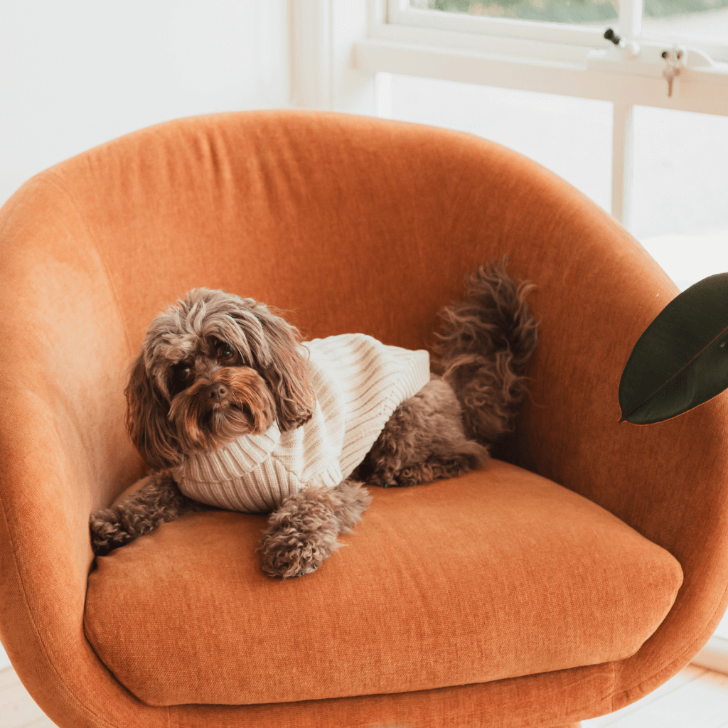 Pull tricoté Sandstone - FuzzYard Life