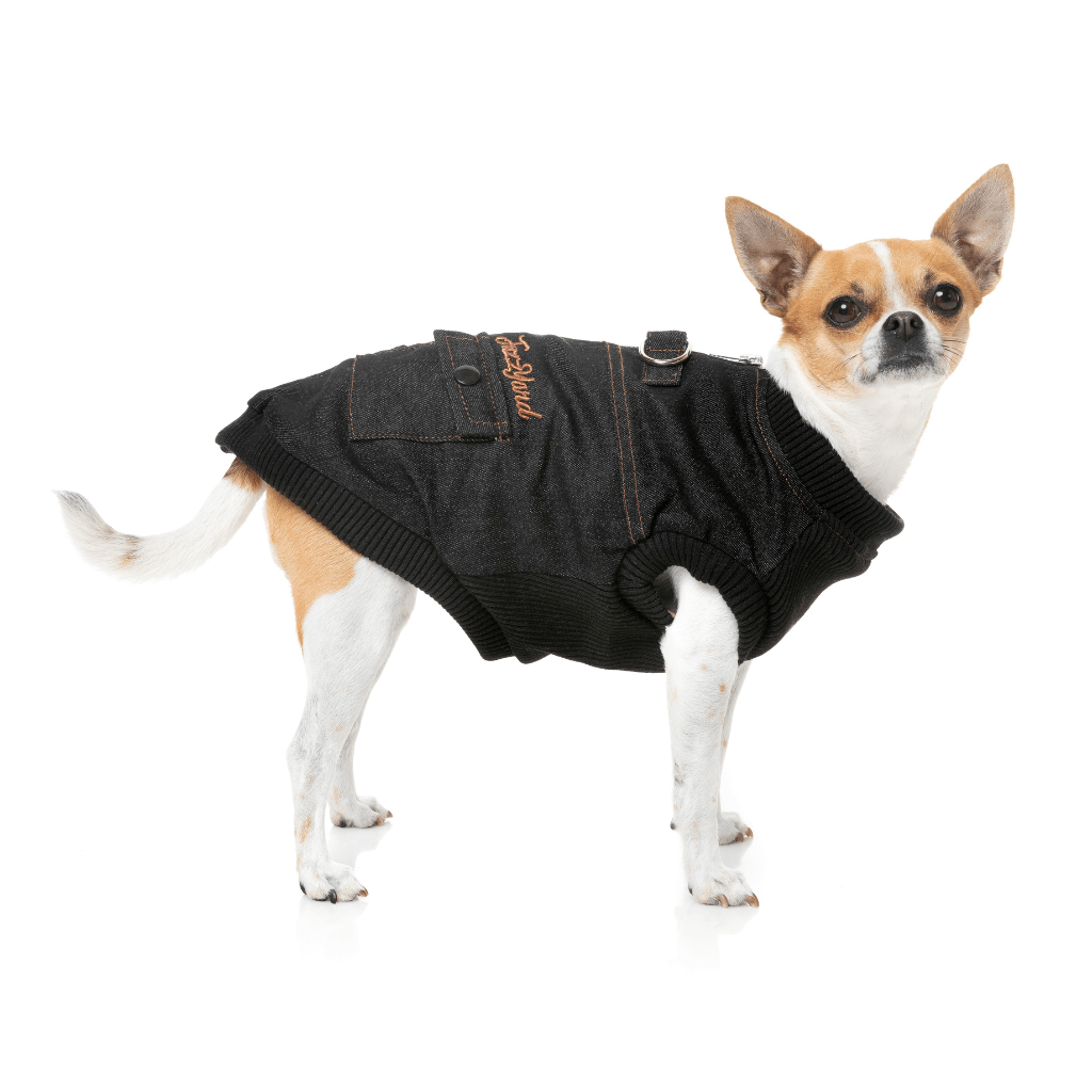 Veste harnais FuzzYard - Kojima - Noir