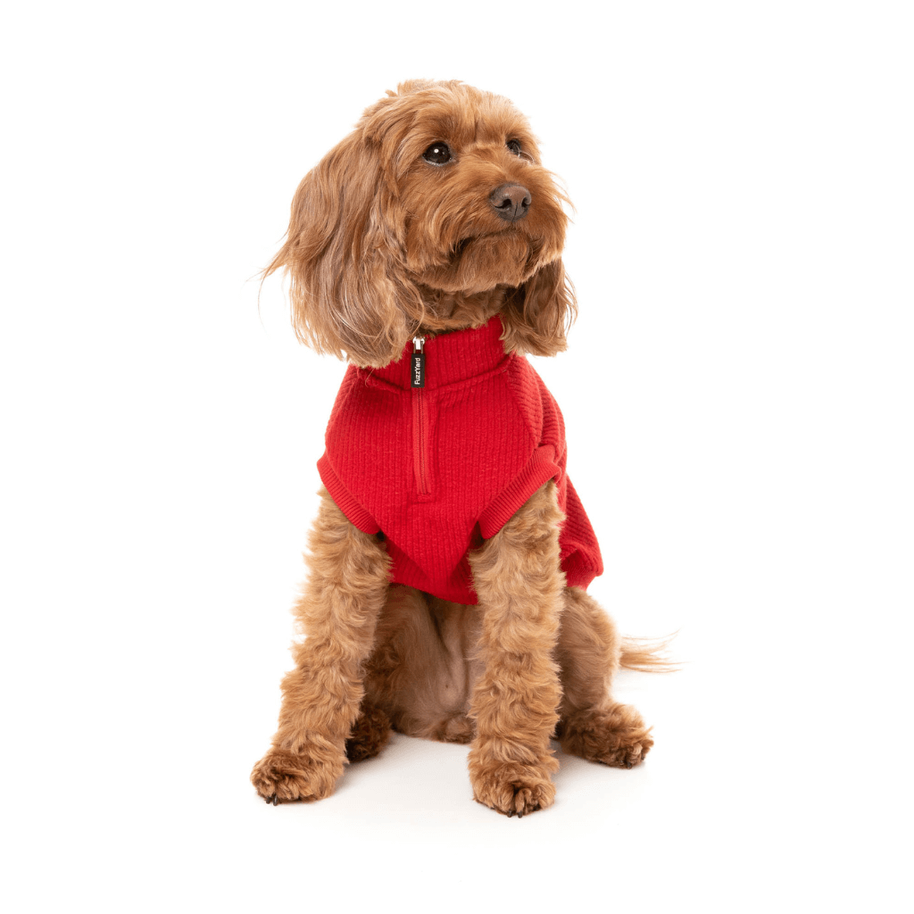 Pull FuzzYard - Cambridge - Rouge