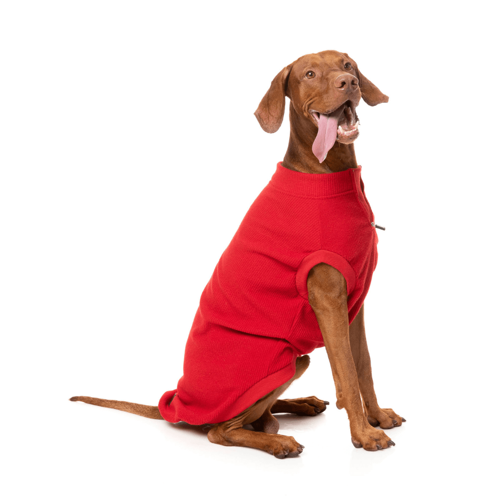 Pull FuzzYard - Cambridge - Rouge