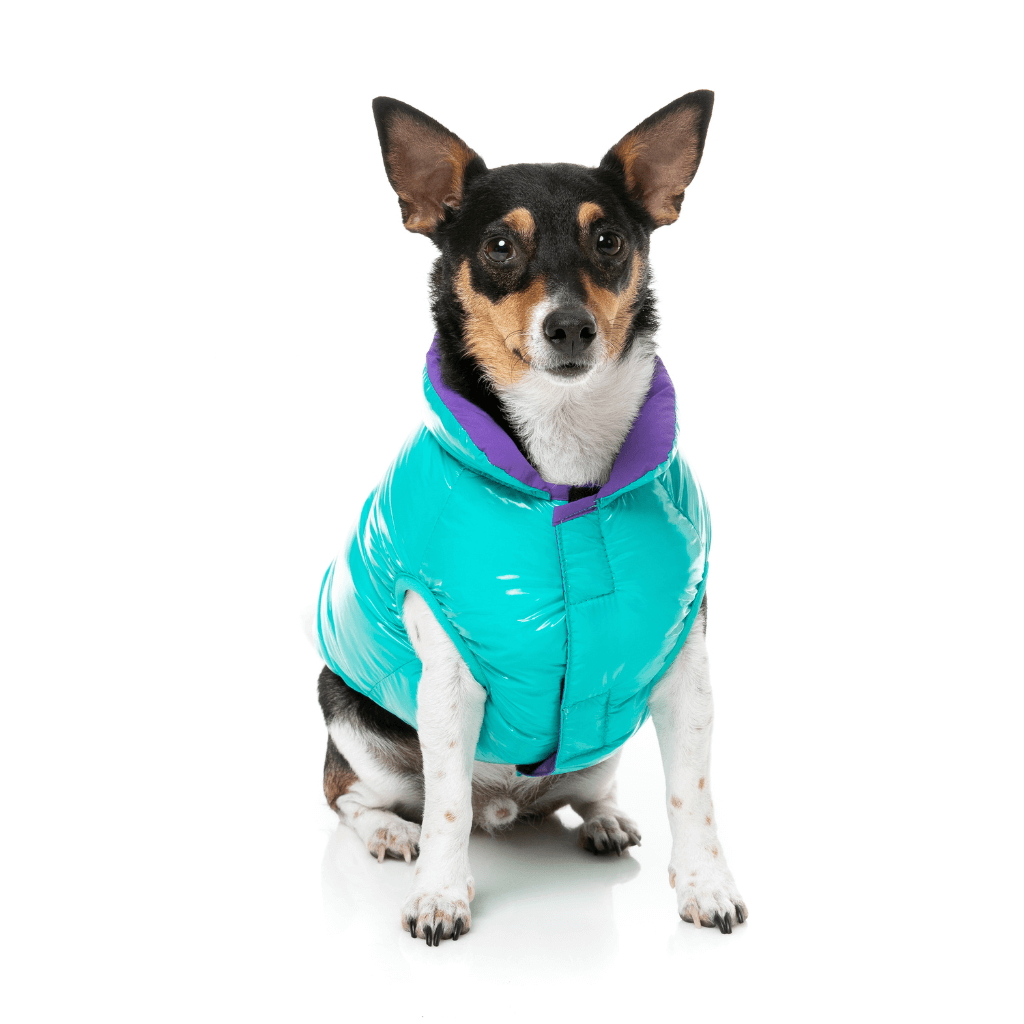 Veste FuzzYard - Amor Puffer - Turquoise