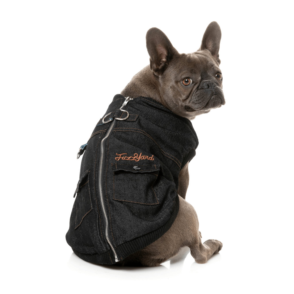 Veste harnais FuzzYard - Kojima - Noir
