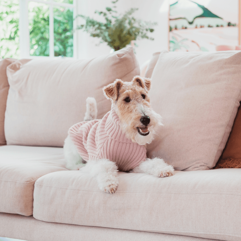 Pull en tricot FuzzYard Life, couleur blush doux
