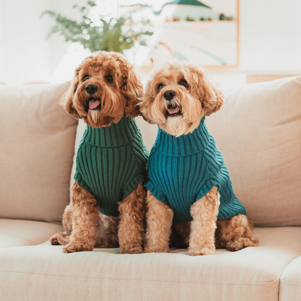 Pull en tricot bleu français - FuzzYard Life