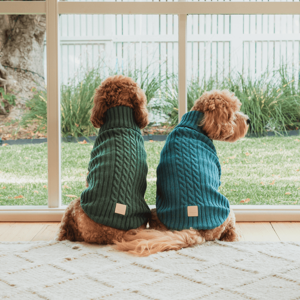 Pull en tricot bleu français - FuzzYard Life