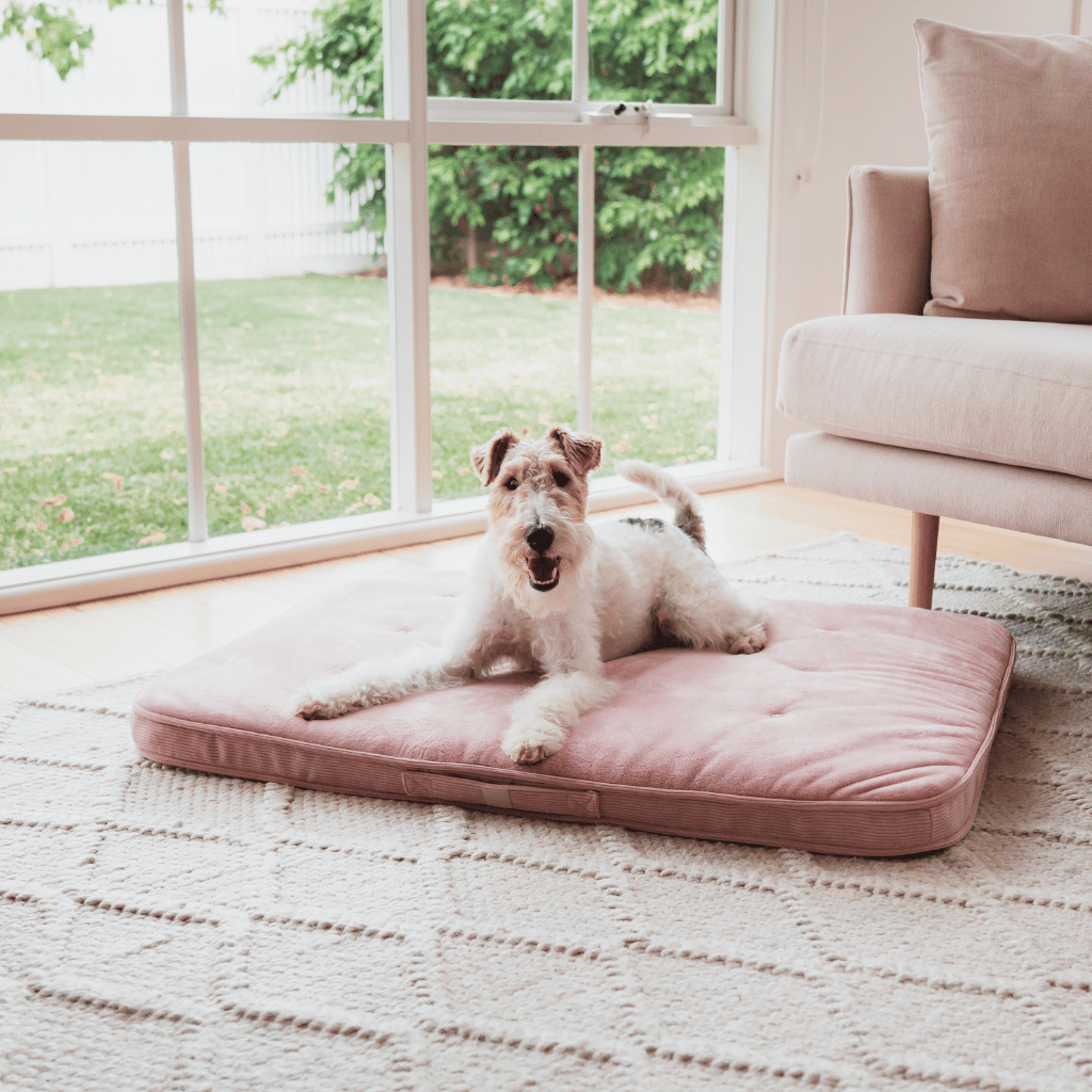 Tapis de salon FuzzYard Life - Blush doux