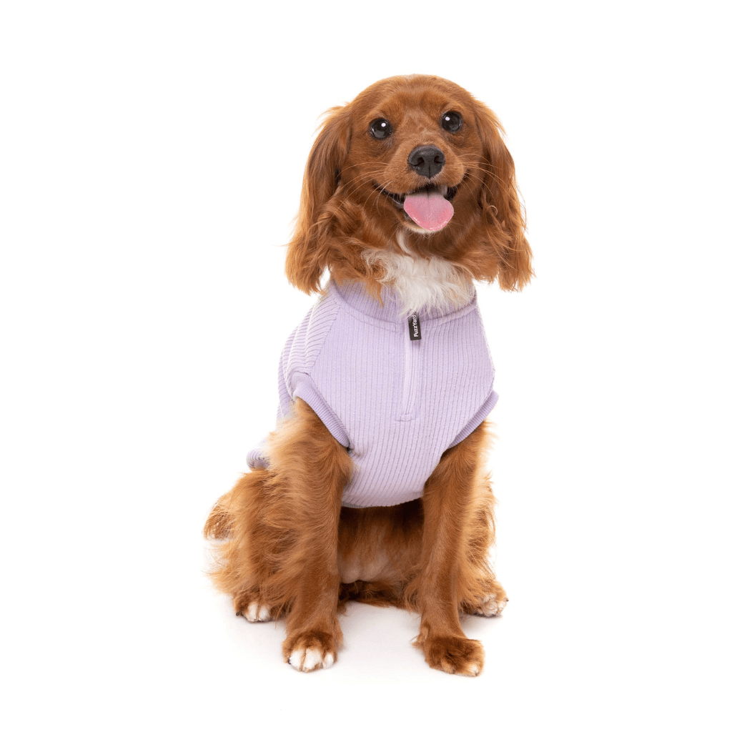 Pull FuzzYard - Cambridge - Lilas