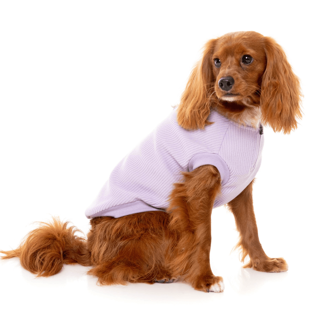 Pull FuzzYard - Cambridge - Lilas