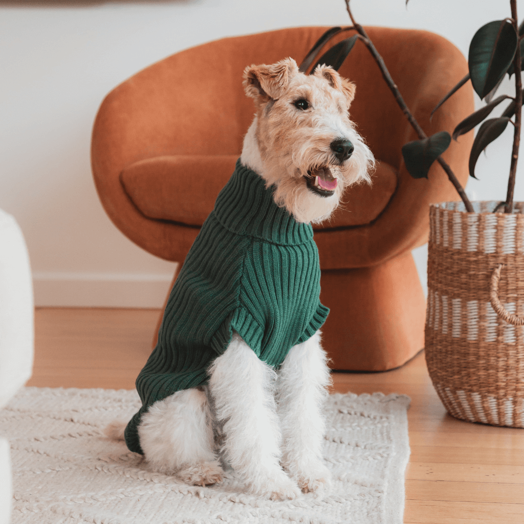 Pull en tricot Myrtle Green - FuzzYard Life