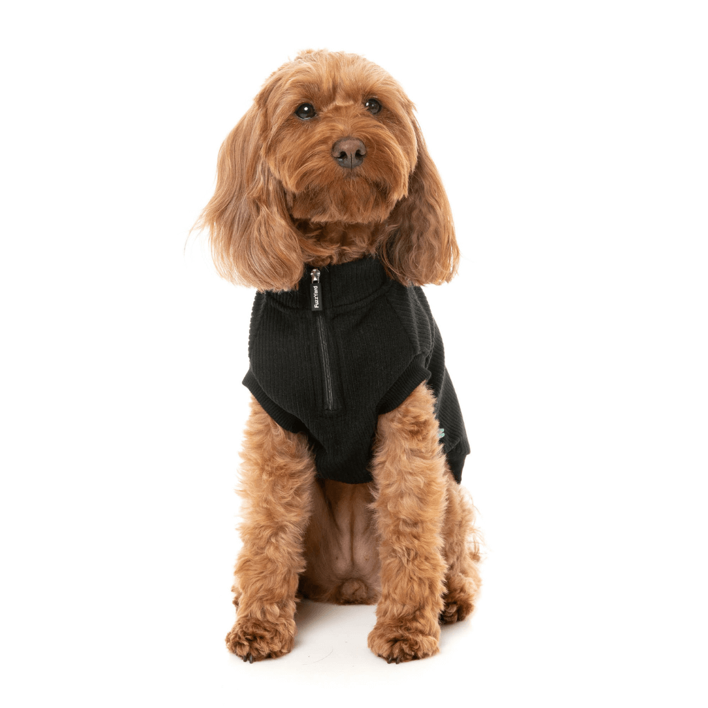 Pull FuzzYard - Cambridge - Noir