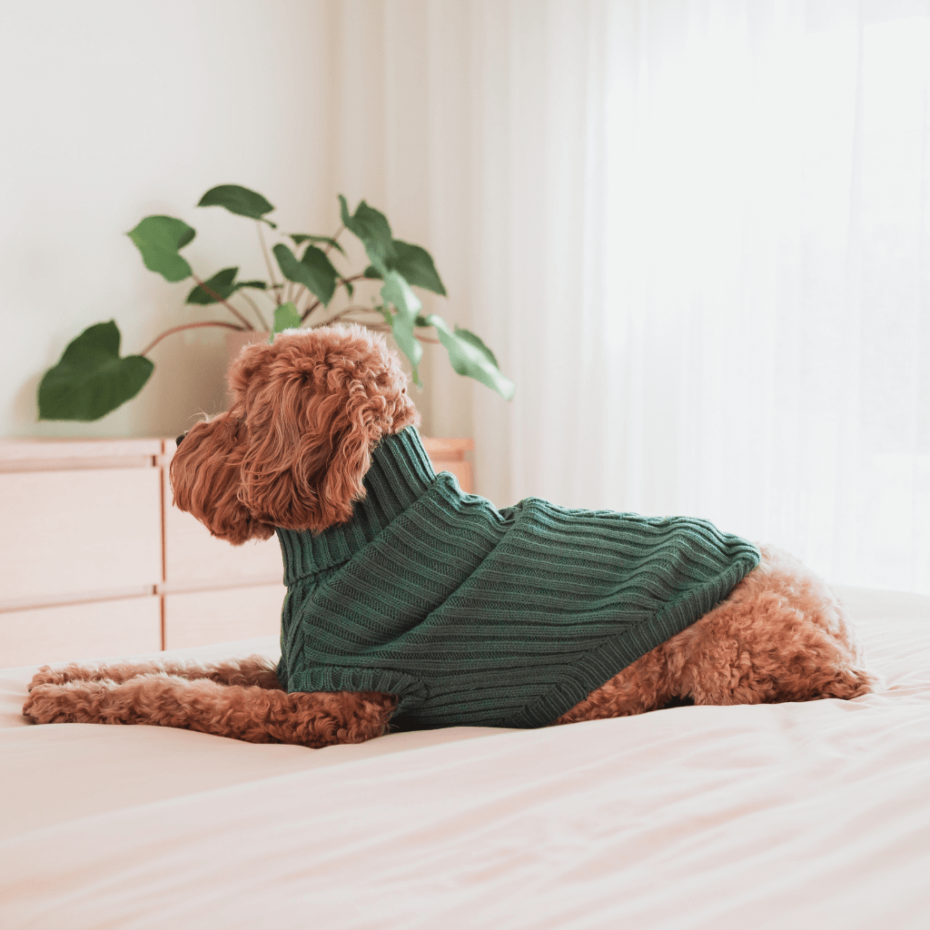 Pull en tricot Myrtle Green - FuzzYard Life