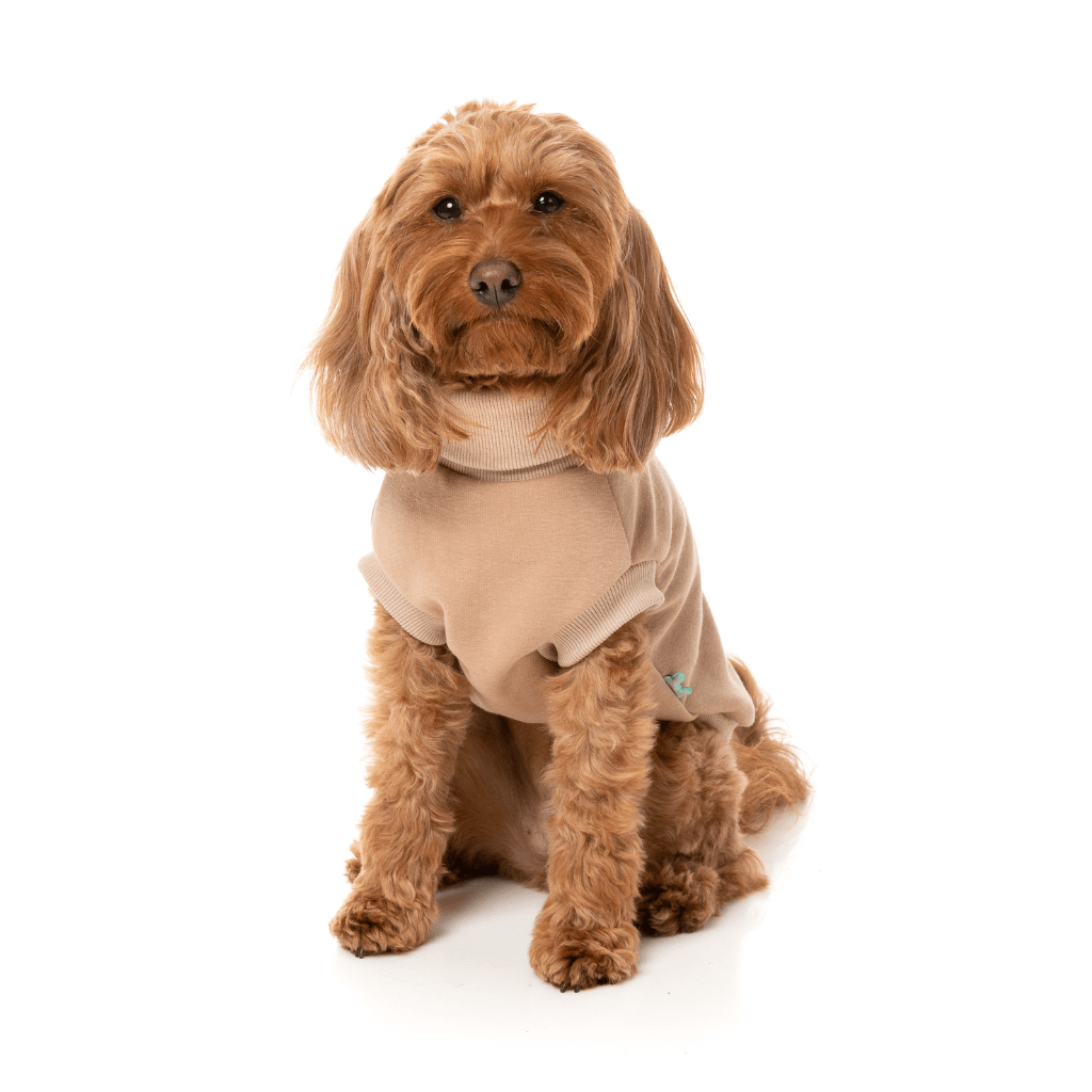 Pull FuzzYard - Stevie 24 - Beige