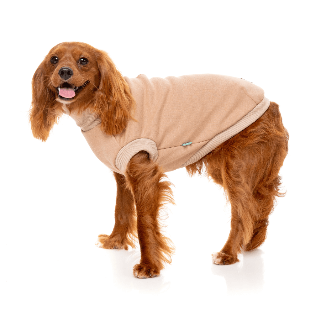 Pull FuzzYard - Stevie 24 - Beige