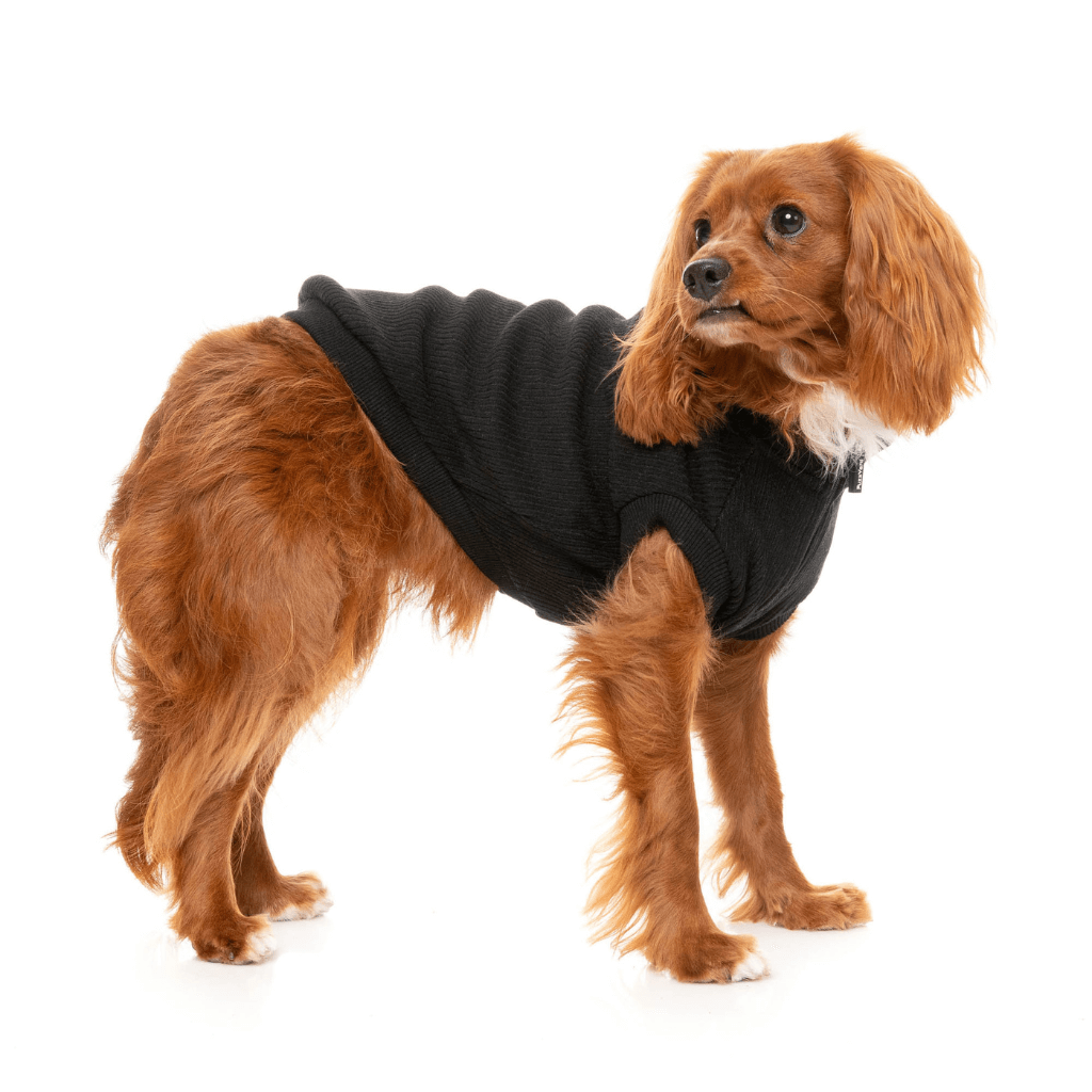 Pull FuzzYard - Cambridge - Noir