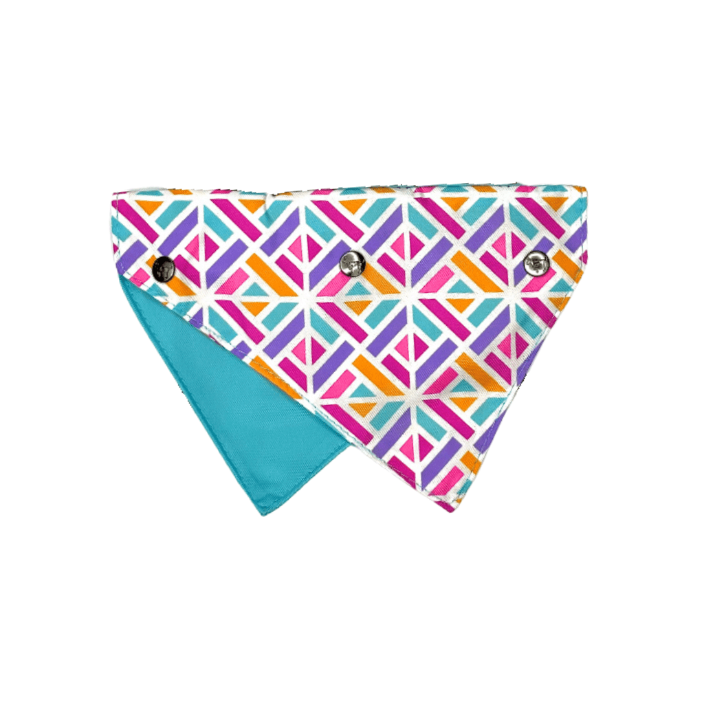 Harnais de plastron pour chien You Drive Me Glazy