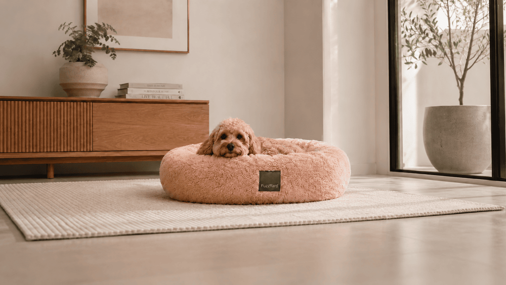 Couchages FuzzYard