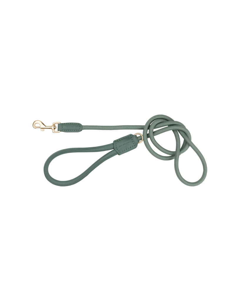 Myrtle Green - Laisse pour chien Atelier
