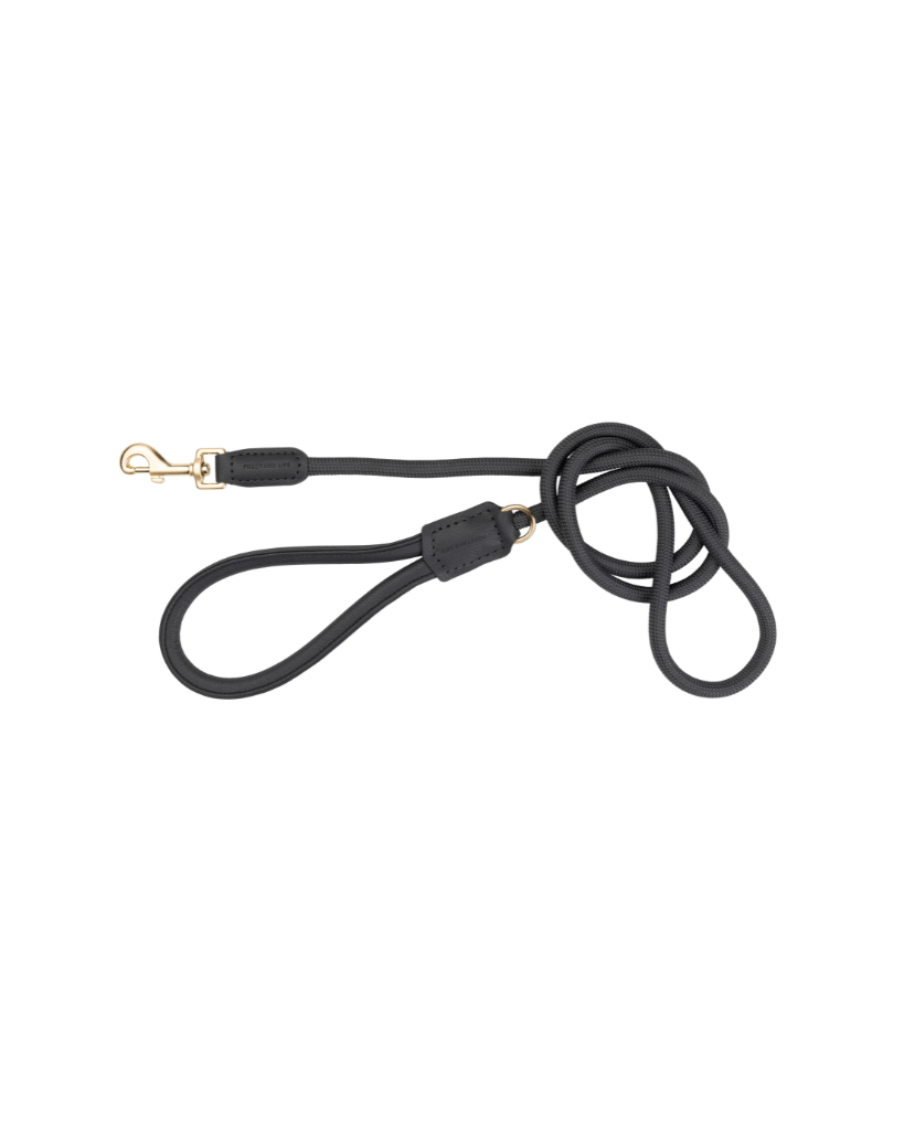 Slate Grey - Laisse pour chien Atelier