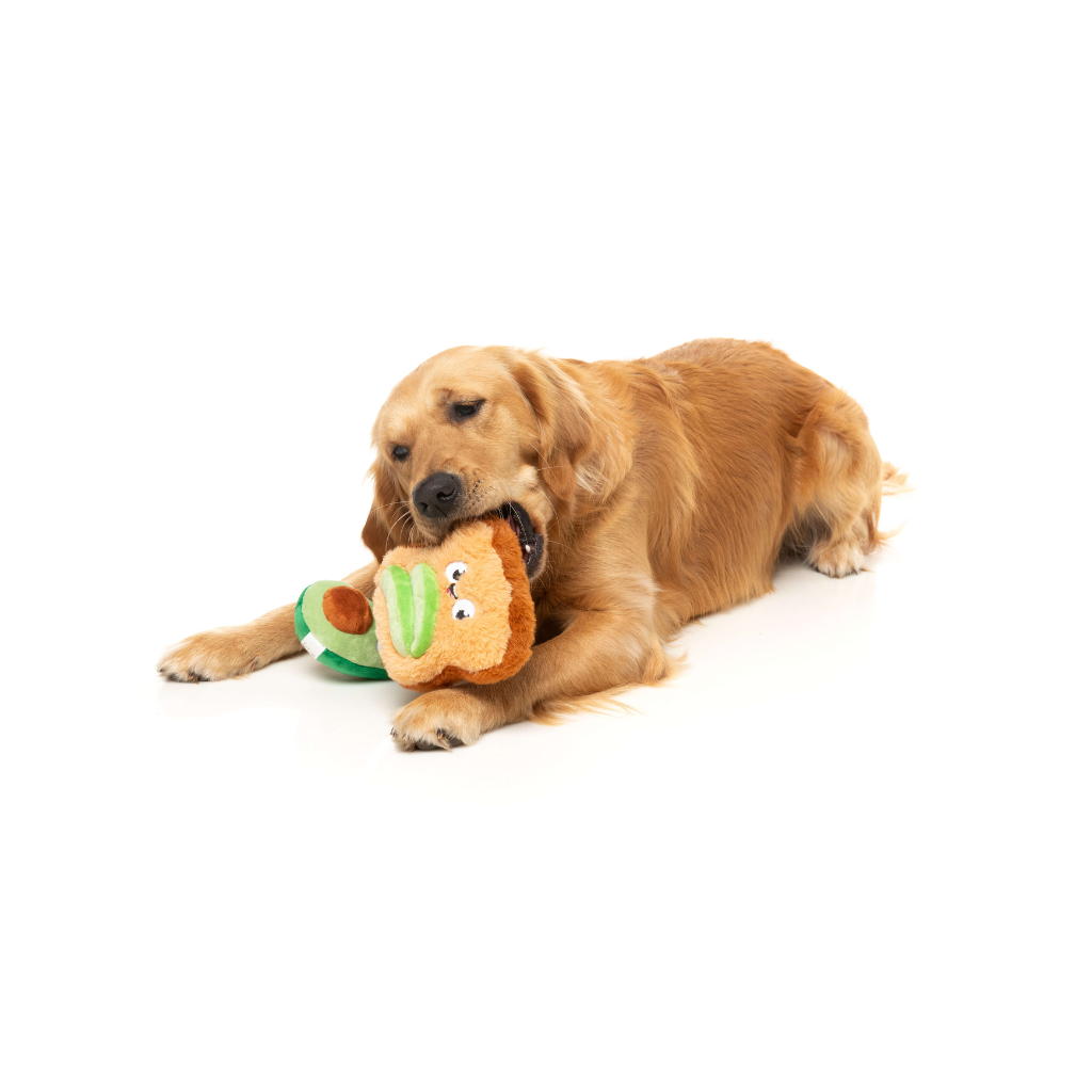 Jouet pour chien Avocat et pain grillé : l'accord parfait