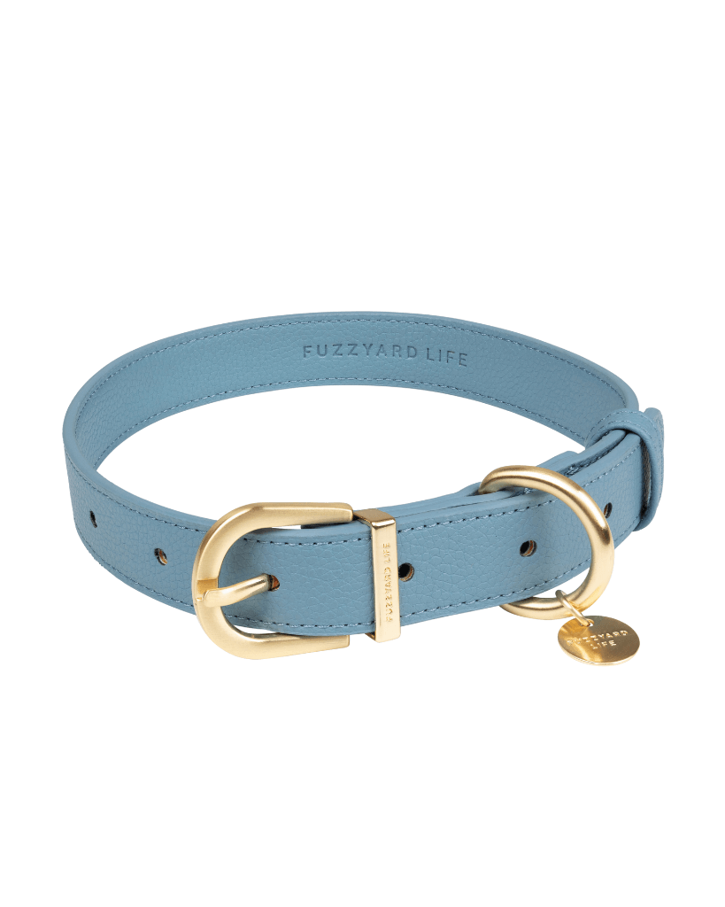 French Blue - Collier pour chien Atelier