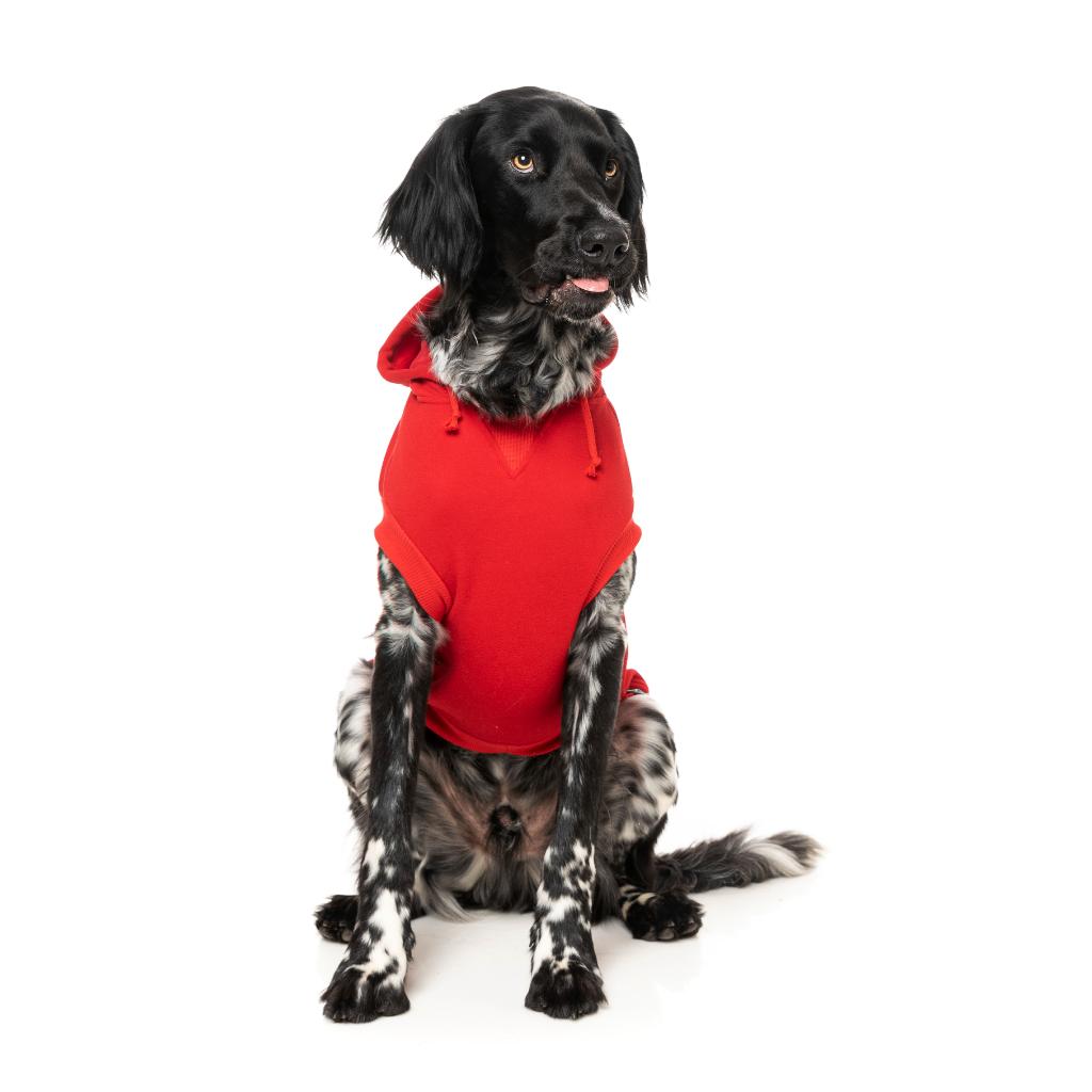 Sweat à capuche Zoomies Rouge