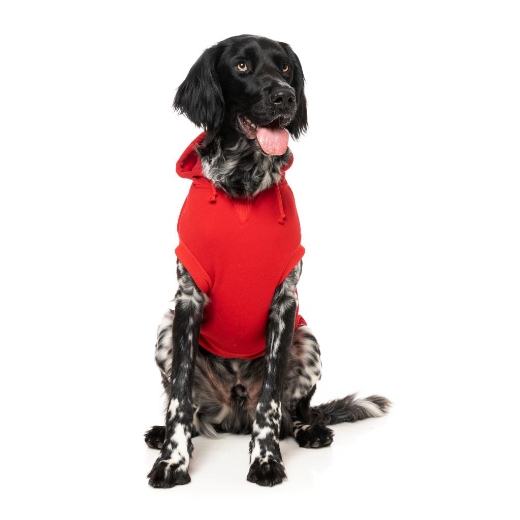 Sweat à capuche Zoomies Rouge