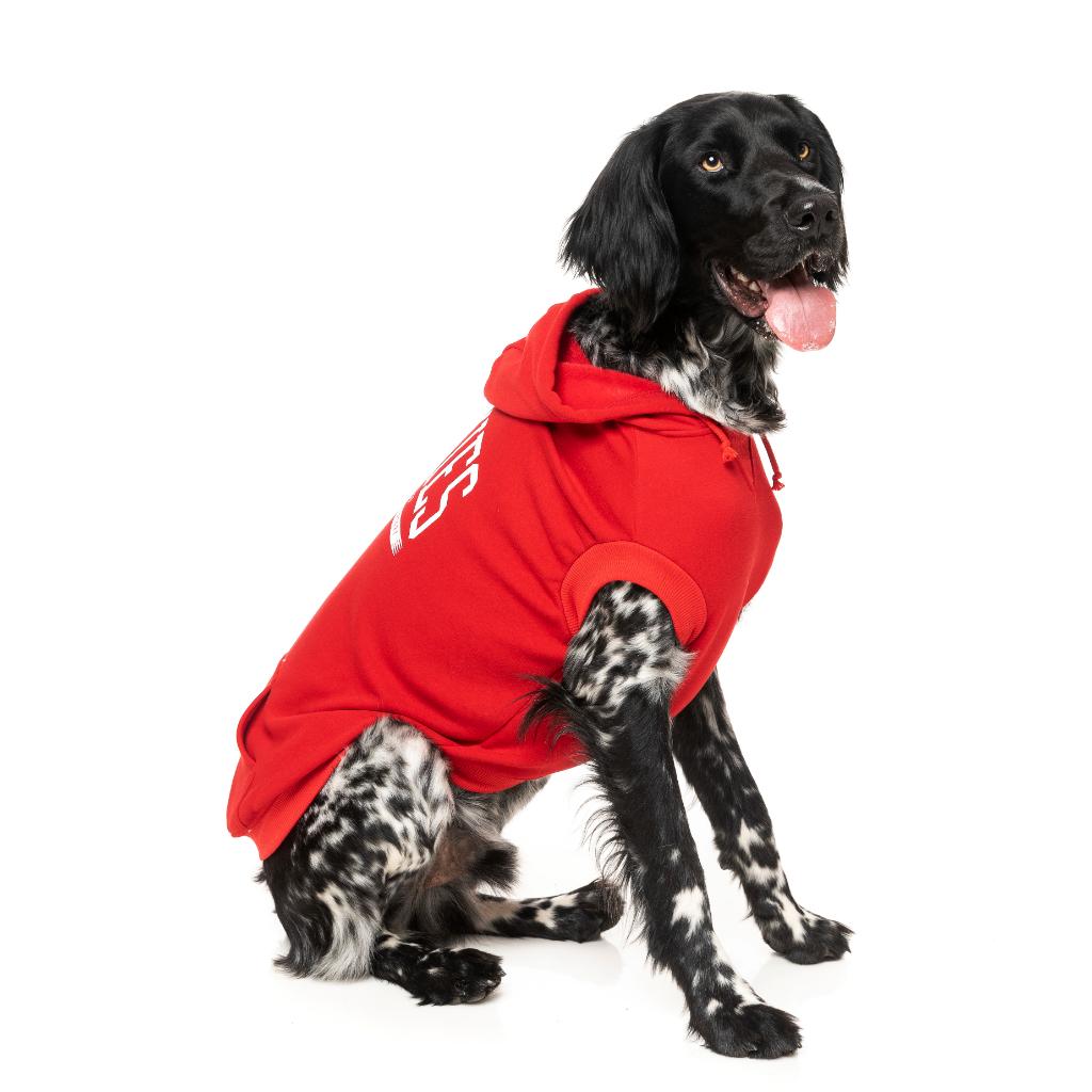 Sweat à capuche Zoomies Rouge