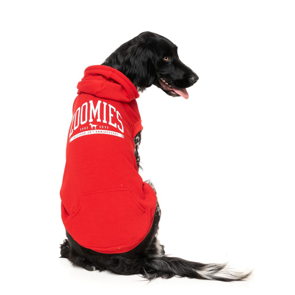Sweat à capuche Zoomies Rouge