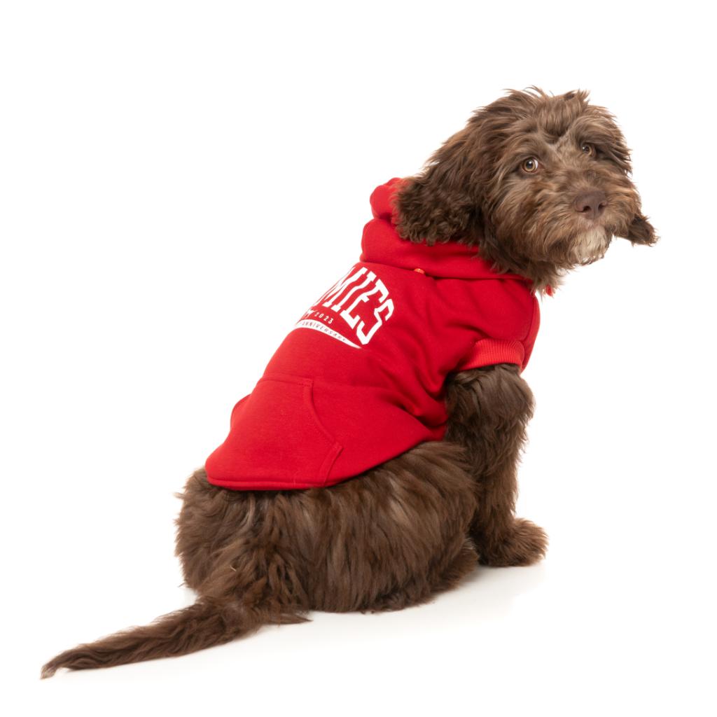 Sweat à capuche Zoomies Rouge