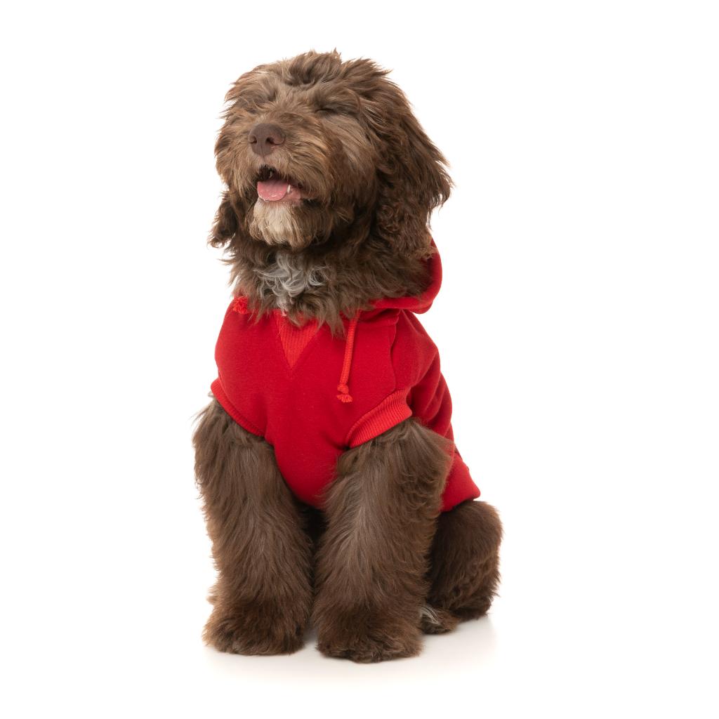 Sweat à capuche Zoomies Rouge