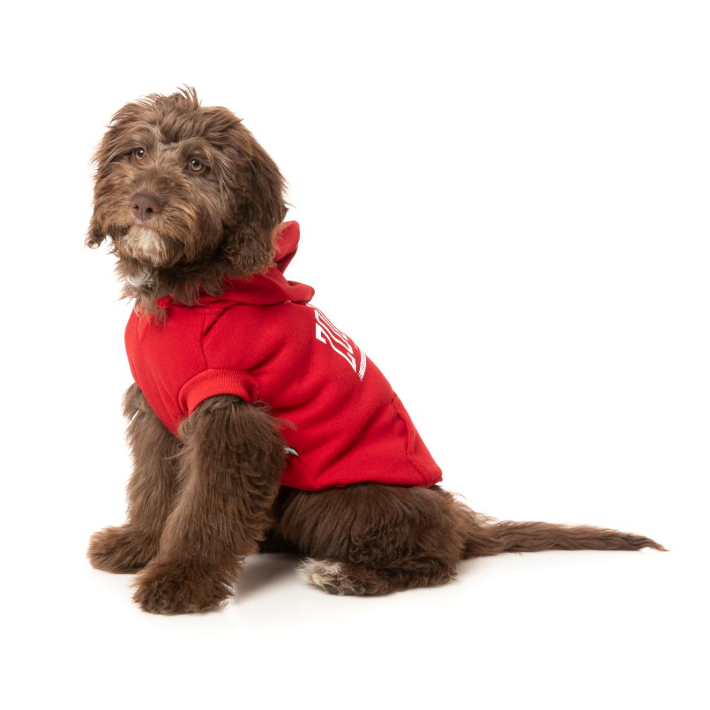 Sweat à capuche Zoomies Rouge