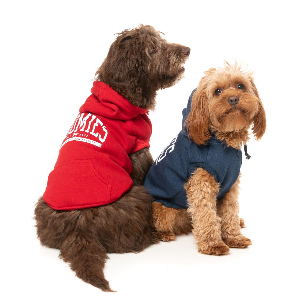 Sweat à capuche Zoomies Rouge