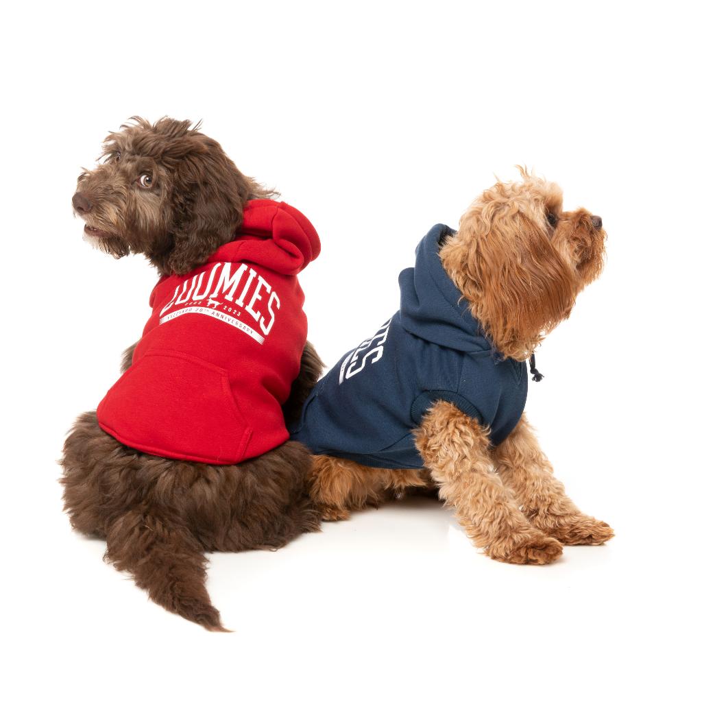 Sweat à capuche Zoomies Rouge