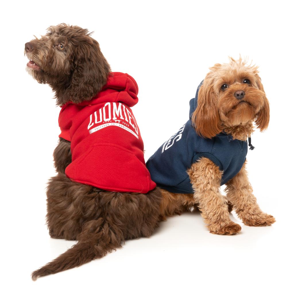 Sweat à capuche Zoomies Rouge