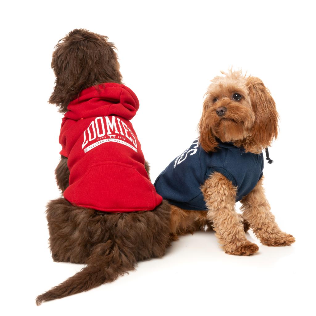 Sweat à capuche Zoomies Rouge