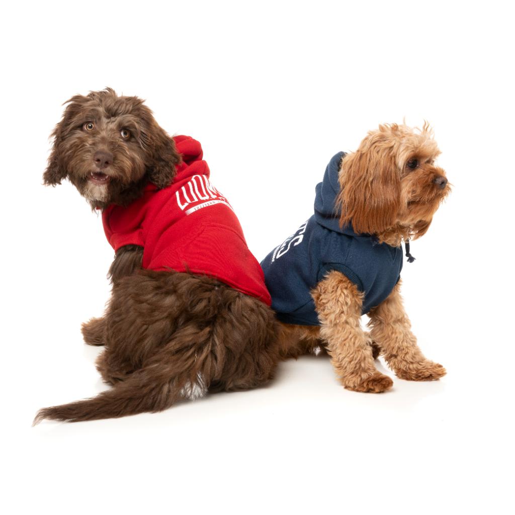 Sweat à capuche Zoomies Rouge