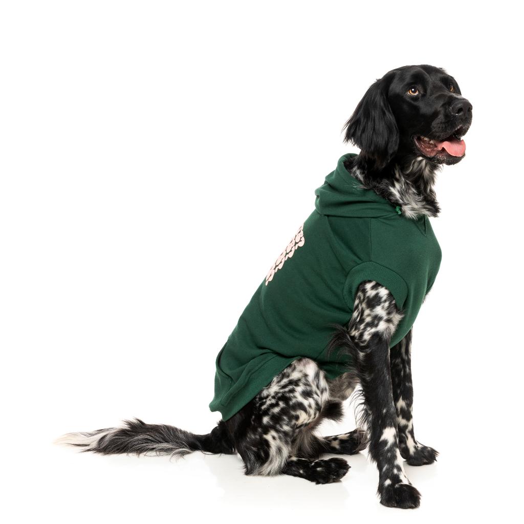 Sweat à capuche Treats Vert