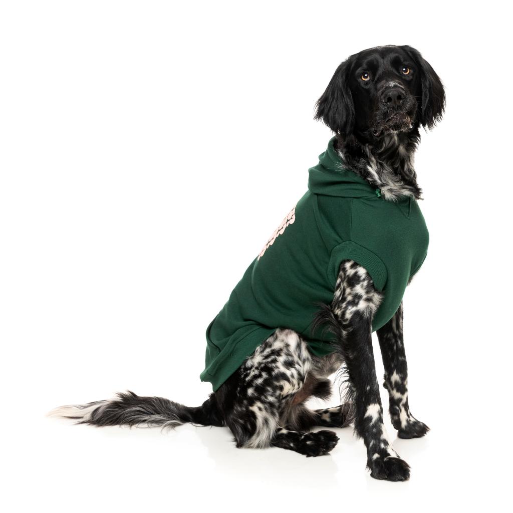 Sweat à capuche Treats Vert