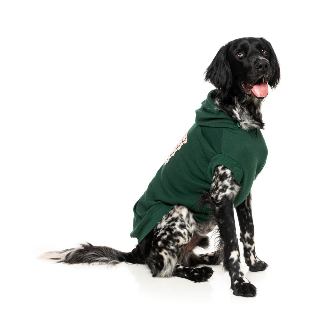 Sweat à capuche Treats Vert