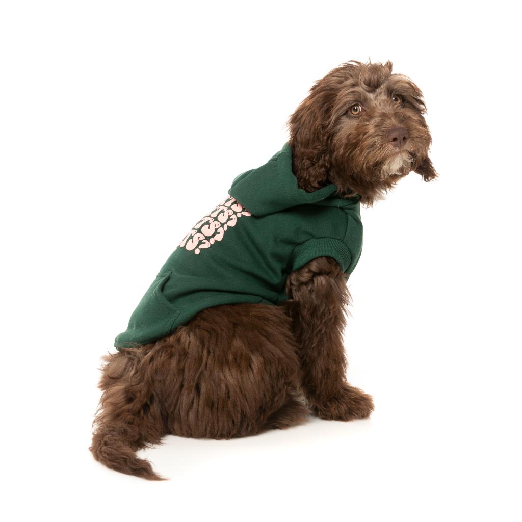 Sweat à capuche Treats Vert