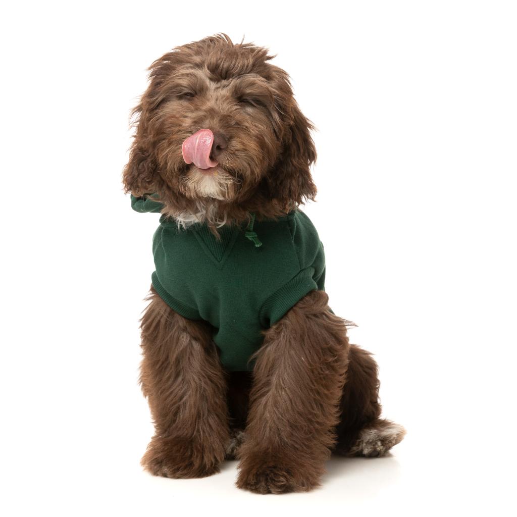 Sweat à capuche Treats Vert