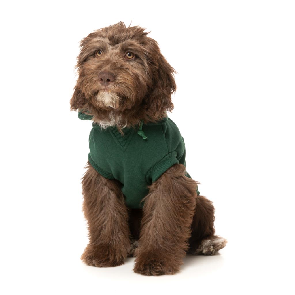 Sweat à capuche Treats Vert